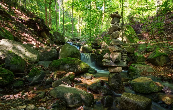 Картинка лес, ручей, камни, мох, Германия, Stecklenberg