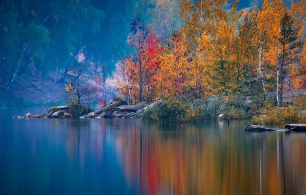 Картинка осень, деревья, Россия, водоём, Московская область, Павел Ныриков