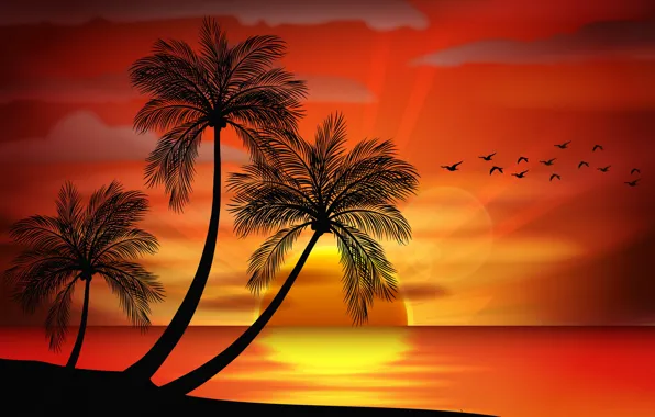 Картинка море, закат, пальмы, vector, остров, силуэт, sea, sunset