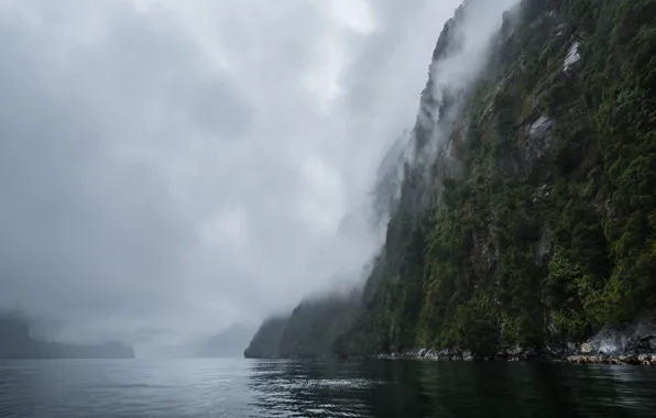 Картинка небо, деревья, природа, туман, водопад, утес, New Zealand, водоем