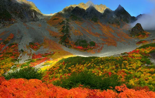 Картинка осень, небо, деревья, горы
