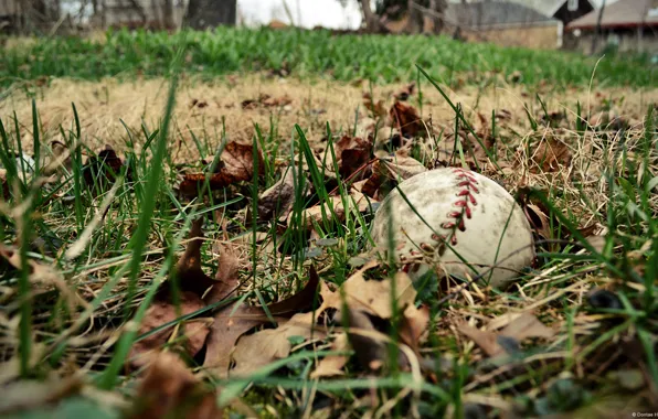 Картинка field, sports, baseball