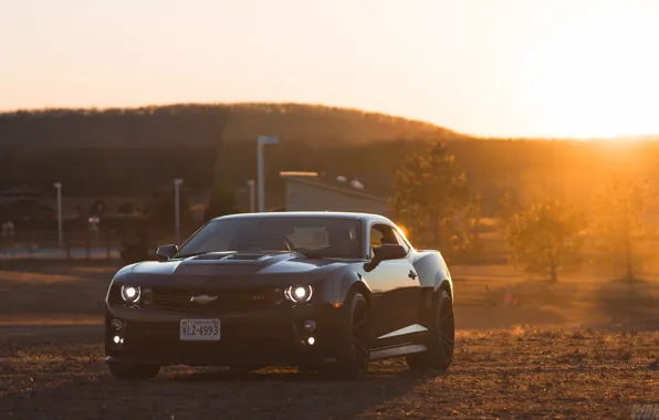 Chevrolet, Camaro, Auto, Black, Sun, Muscle Car, ZL1, 2014