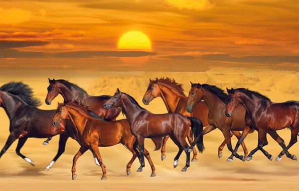 Beautiful, Seven, Sunset, Sand, Horses, Running On Sea