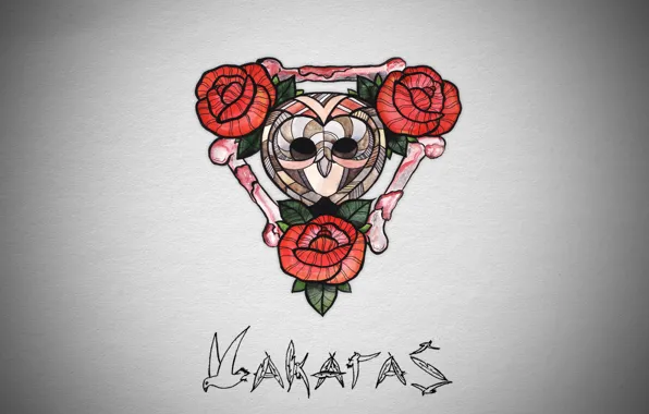 Металл, музыка, сова, розы, минимализм, кости, metal, Vakaras