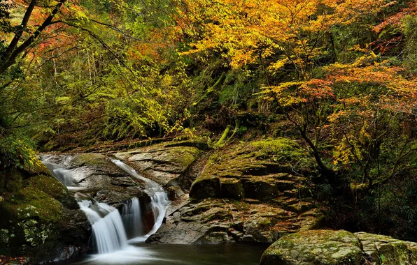 Картинка осень, лес, деревья, ручей, камни, скалы