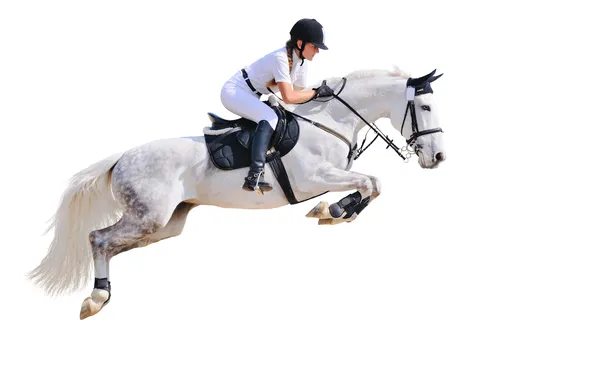Jumping, isolated, horseman, horsewoman, horsemanship, hurdle