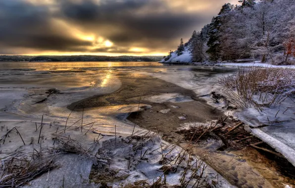 Картинка вода, снег, деревья, лёд, Sweden