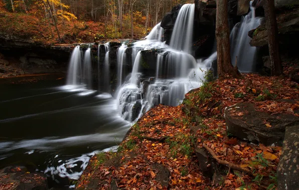Картинка осень, лес, листья, река, водопад, каскад, West Virginia, Западная Виргиния
