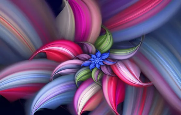 Картинка цветок, линии, краски, спираль, лепестки, объем