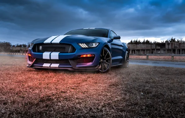 Mustang, Ford, Shelby, GT500