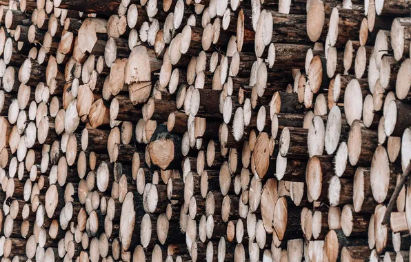 Wood, firewood, logs