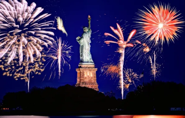 Картинка United States, New York City, New Jersey, PetSmart Fireworks Show