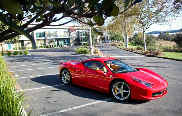 Машина, Феррари, Ferrari, суперкар, 458, Italia