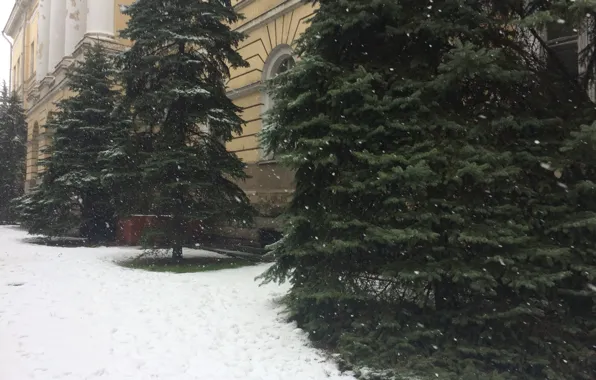 Зима, дорога, лето, снег, елки, весна, америка, мама