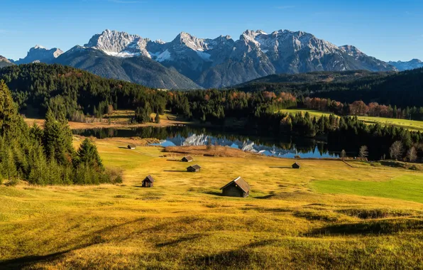 Картинка поле, осень, лес, трава, свет, горы, природа, озеро