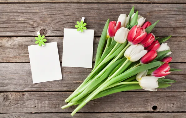 Цветы, букет, тюльпаны, red, white, wood, flowers, tulips