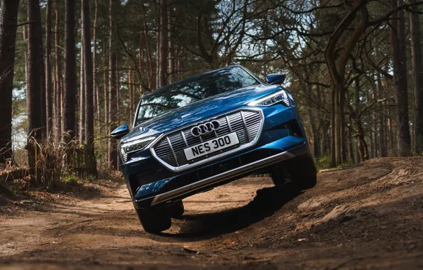 Audi, кроссовер, E-Tron, 2019, UK version, электрокроссовер