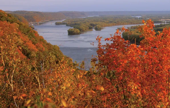 Картинка осень, лес, небо, деревья, мост, природа, США, река Миссисипи