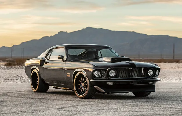 Muscle, Ford Mustang, Coupe, Vehicle, Boss 429