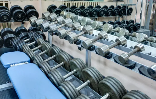 Гантели, Gym, Weight