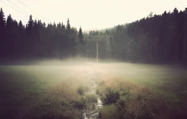 Картинка лес, туман, река