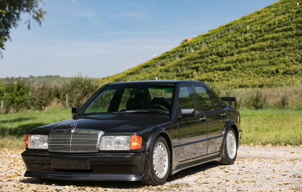 Mercedes-Benz, Mercedes, Evolution, Front, Black, Road, 1989, W201