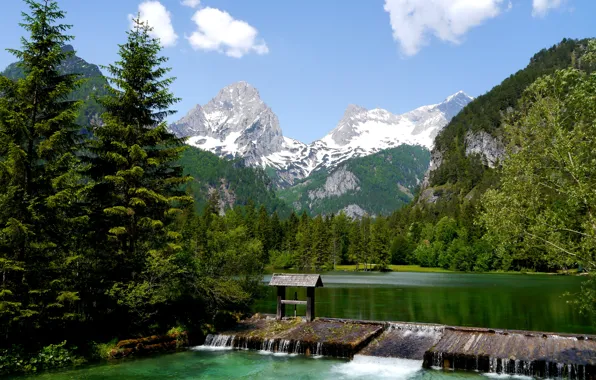 Лес, деревья, горы, озеро, река, Австрия, Альпы, Austria