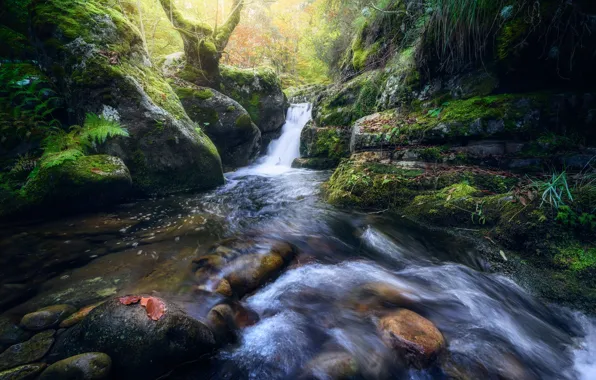Камни, скалы, растительность, водопад