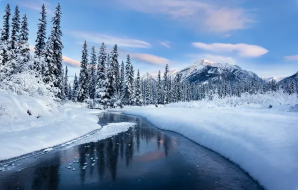 Картинка зима, лес, снег, горы, река, сугробы