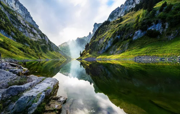 Картинка вода, горы, река, мох