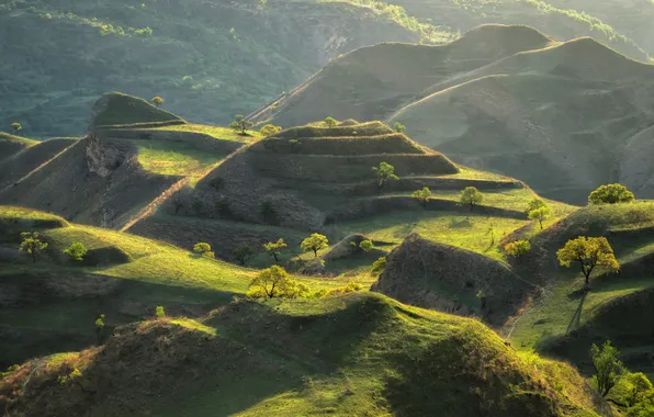 Green, mountains, hills, terrain
