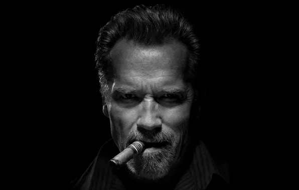 Картинка look, cigar, Arnold Schwarzenegger