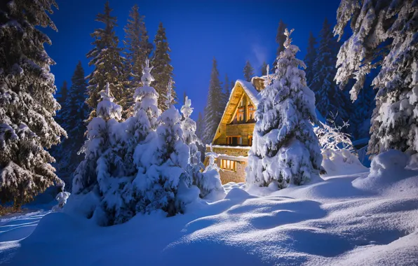 Зима, снег, дом, ели, сугробы, Болгария