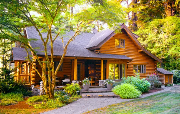 Лес, лето, природа, деревянный дом, house in the woods