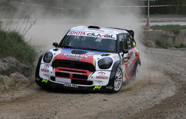 Mini, Countryman, Пыль, Rally, Duval