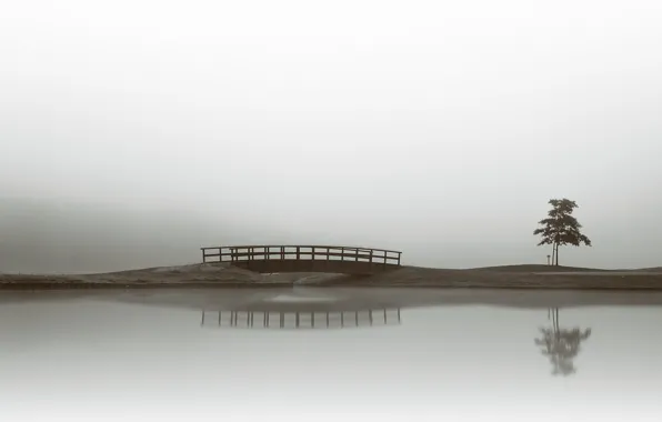 Мост, туман, дерево