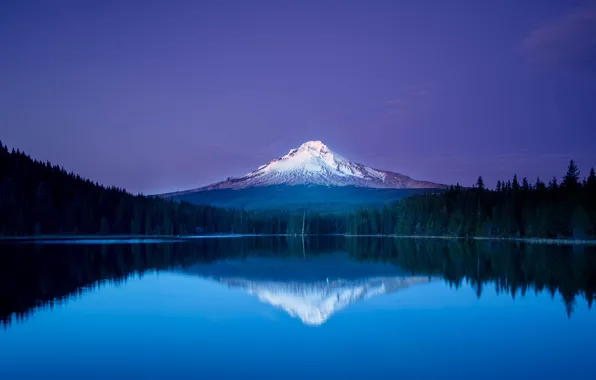 Деревья, ночь, озеро, гора, trees, отражение в воде, mountain, lake