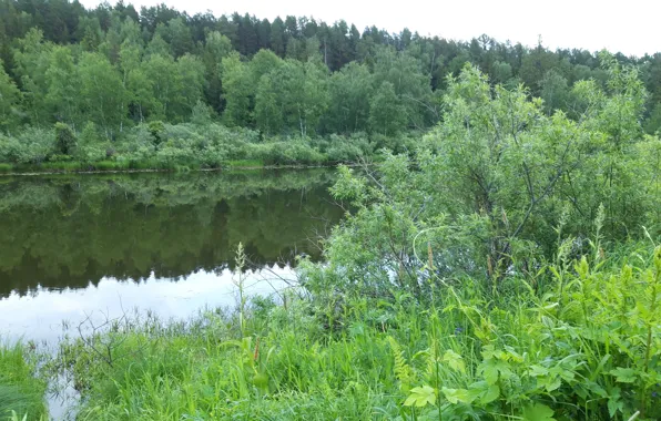Природа, Озеро, Лес, Красота, forest, Nature, water, beautiful