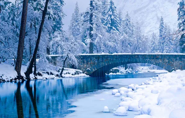 Зима, снег, деревья, Калифорния, США, Yosemite National Park, река Мерсед, Йосемитский национальный парк
