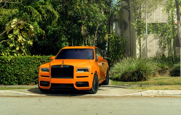 Картинка Orange, Rolls Royce, Lux, SUV, Cullinan