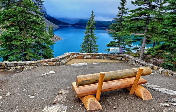 Картинка скамейка, ели, Канада, Banff National Park, Canada, Moraine Lake, Озеро Морейн, Банф