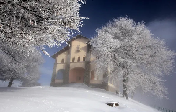 Картинка зима, пейзаж, дом, дерево