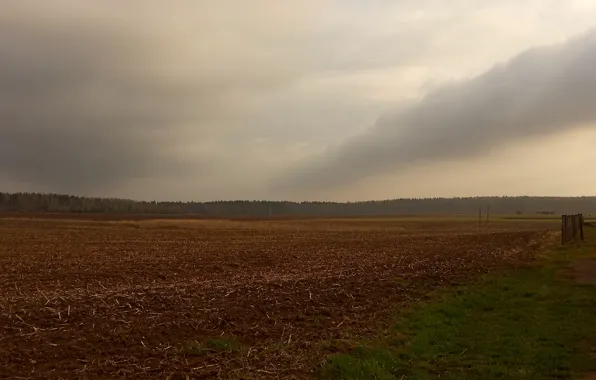 Поле, Лес, Даль