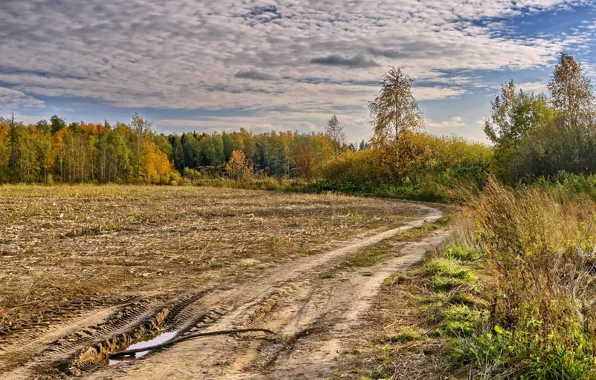 Картинка дорога, поле, осень, пейзаж