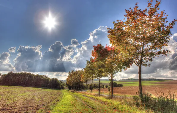 Картинка дорога, осень, небо, трава, солнце, облака, лучи, деревья