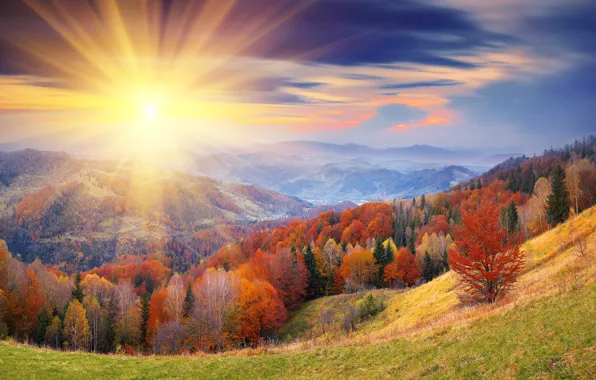 Картинка осень, небо, солнце, облака, лучи, деревья, холмы, листва