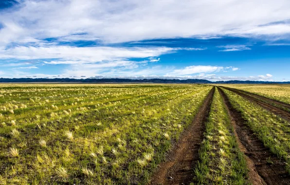 Дорога, поле, пейзаж, Mongolia