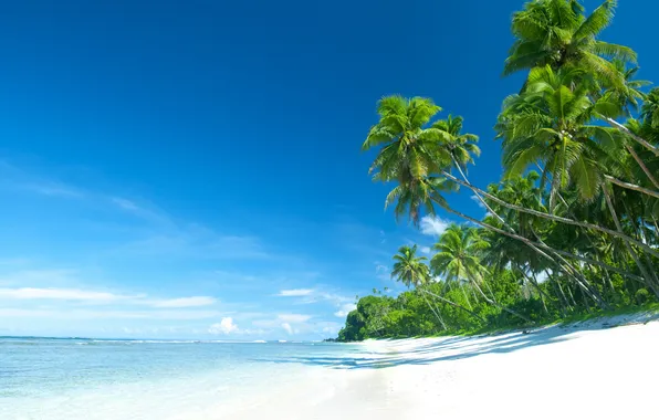 Песок, море, пляж, лето, небо, пальмы, summer, beach