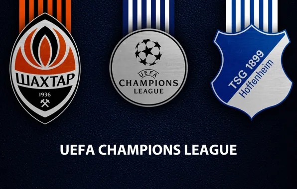 Wallpaper, sport, logo, football, UEFA Champions League, TSG 1899 Hoffenheim, Shakhtar Donetsk, Shakhtar Donetsk vs …